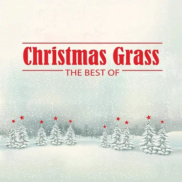 Christmas Grass - The Best Of by Various Artists - album cover