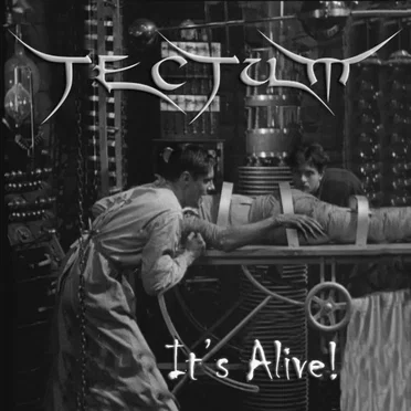 Tectum