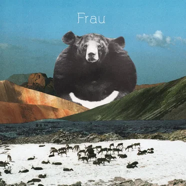 Hometown/Laminate by Frau - album cover