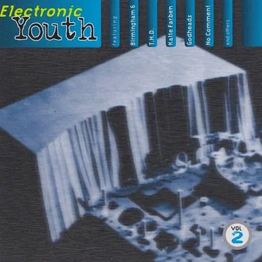 Electronic Youth Vol.2 by Various Artists - album cover