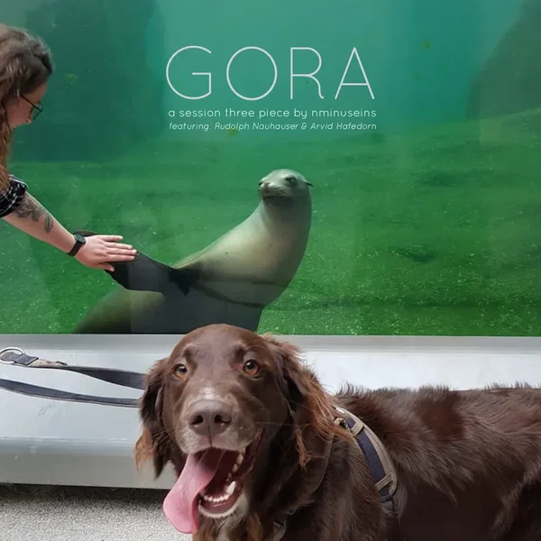 Gora