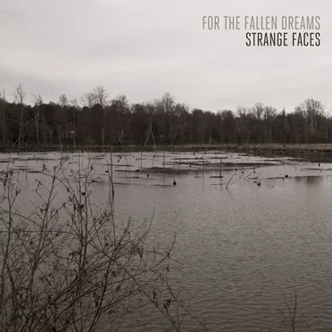 Strange Faces by For the Fallen Dreams - album cover