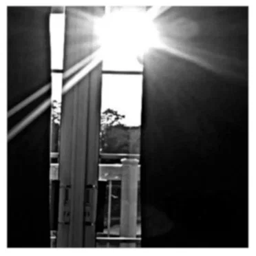 Stillness in Movement by Infinite Third - album cover