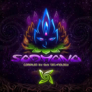 Sadhana by Various Artists - album cover