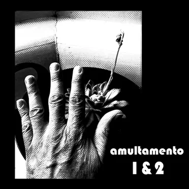 Amultamento