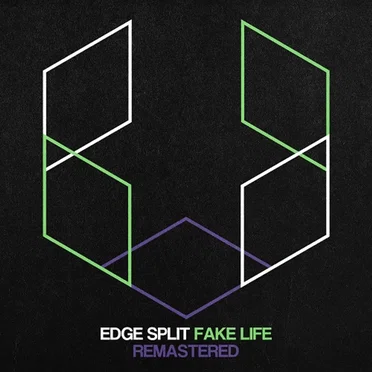 Fake Life