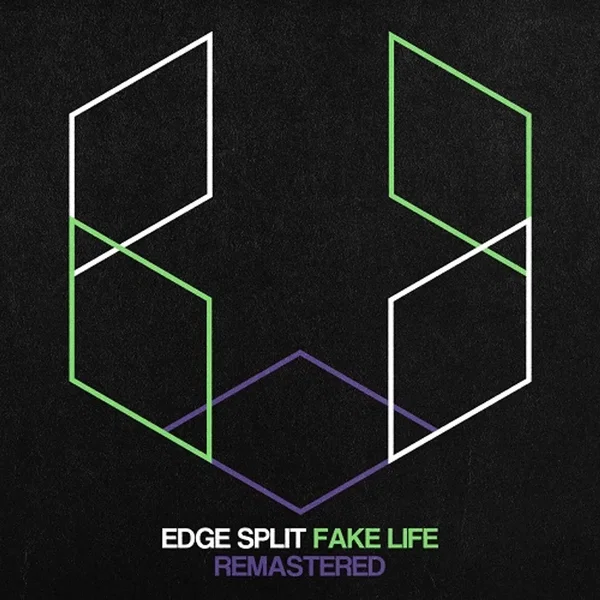 Fake Life