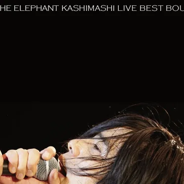 the fighting men's chronicle special THE ELEPHANT KASHIMASHI live BEST BOUT