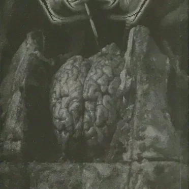 Mental Decay by Mutilation - album cover