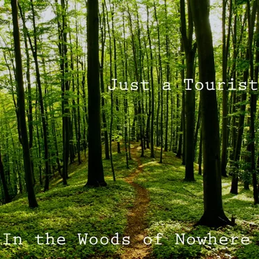 In the Woods of Nowhere