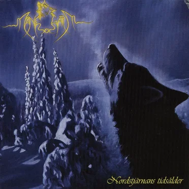 Nordstjärnans tidsålder