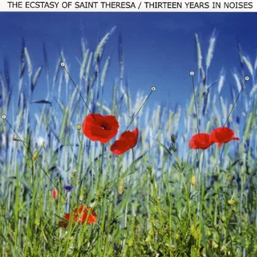 Thirteen Years in Noises by The Ecstasy of Saint Theresa - album cover