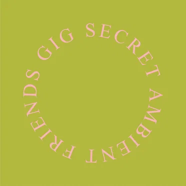 Secret Ambient Friends Gig