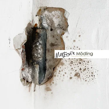 Moreover Mödling by Various Artists - album cover