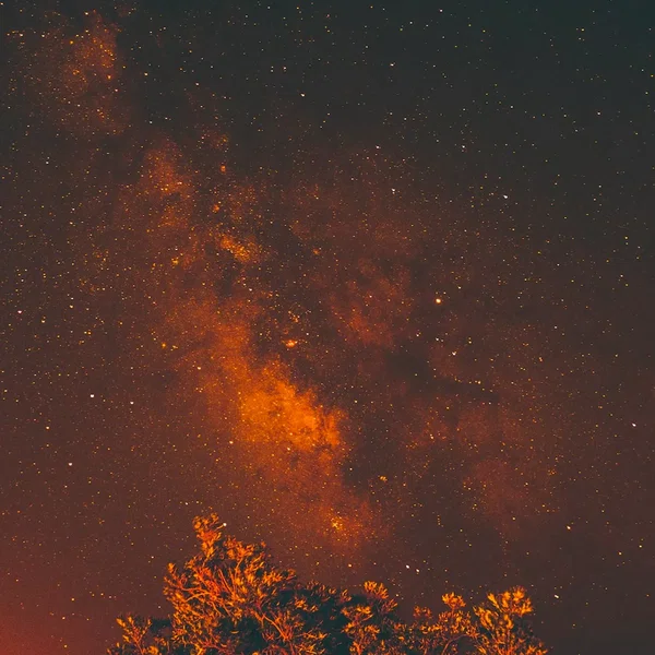 Endless, the Devil’s Reach
