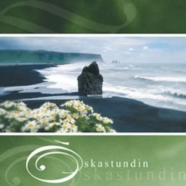 Óskastundin by Various Artists - album cover