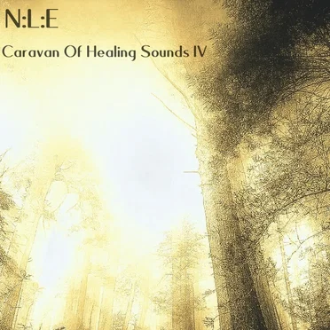 Caravan Of Healing Sounds IV