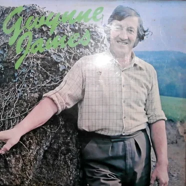 Gwynne James by Gwynne James - album cover