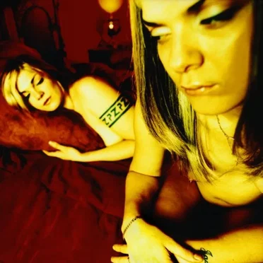 Summer's Kiss: A Tribute to The Afghan Whigs by Various Artists - album cover
