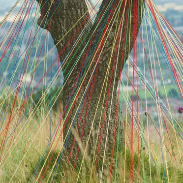 Orbit (Lunar edition)