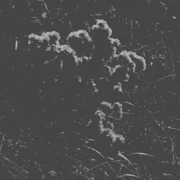 Fragments of a Season