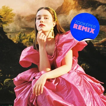 Mirror (Zookëper remix)
