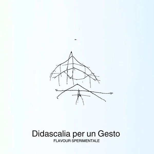Didascalia per un Gesto