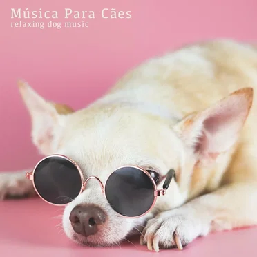 Música Para Cães