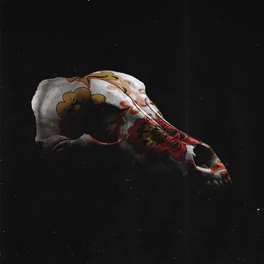 Зверь без нации