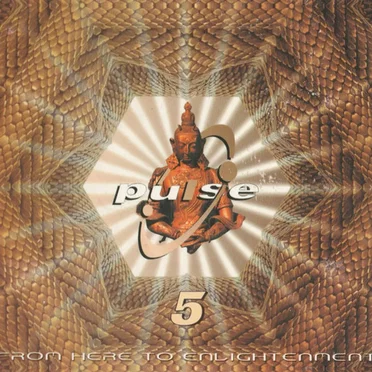 Pulse 5: From Here to Enlightenment by Various Artists - album cover