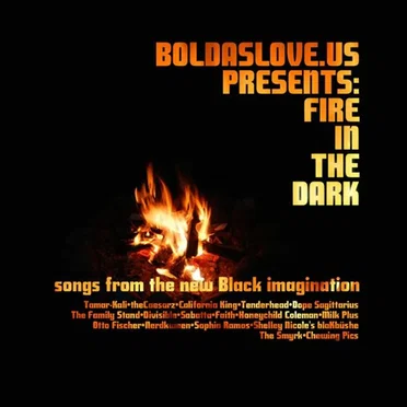 Boldaslove.us Presents: Fire in the Dark by Various Artists - album cover
