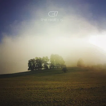 The Reality Is… by C37 - album cover