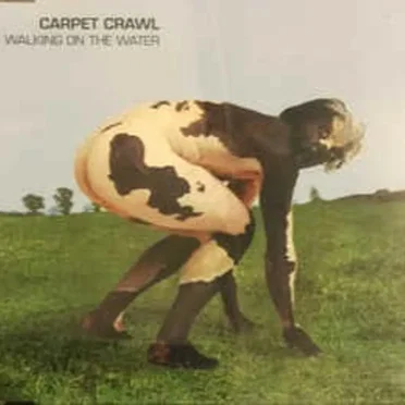 Carpet Crawl