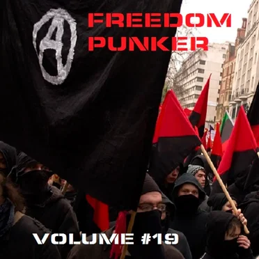 Freedom Punker, Volume 19 by Various Artists - album cover