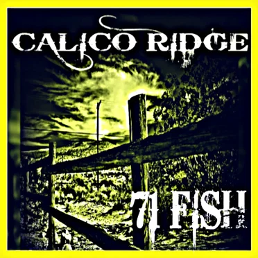 Calico Ridge by 71 Fish - album cover