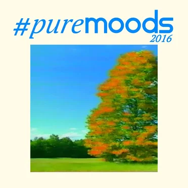 #PureMoods2016 by Various Artists - album cover