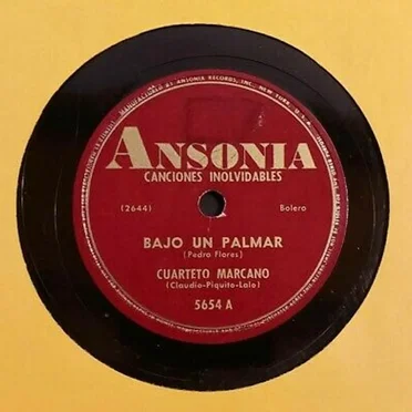 Bajo un palmar / Adiós