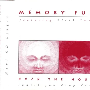Rock the House (Until You Drop Dead) by Memory Fuel - album cover