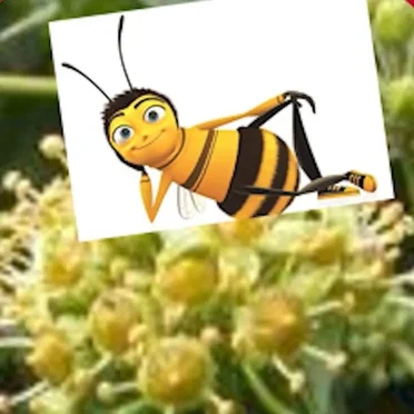 Look Closer