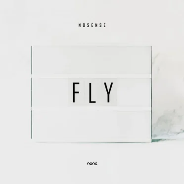 Fly by Nosense - album cover