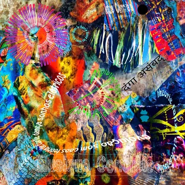 दंगा असंबद् | Riotous Assembly | 進化音カオスカット by Various Artists - album cover