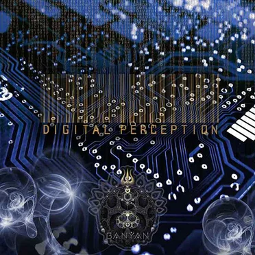 Digital Perception by Various Artists - album cover