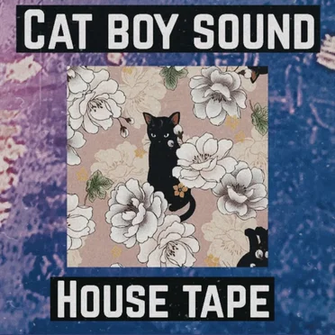 House Tape by Cat Boy Sound - album cover