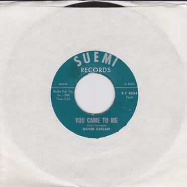 You Came To Me / You Must Be Kidding by David Caflan - album cover