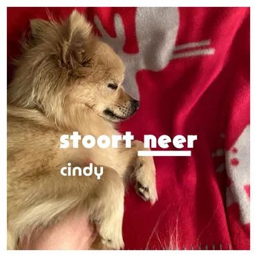 Cindy by stoort neer - album cover