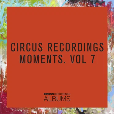 Moments. Vol 7 by Various Artists - album cover