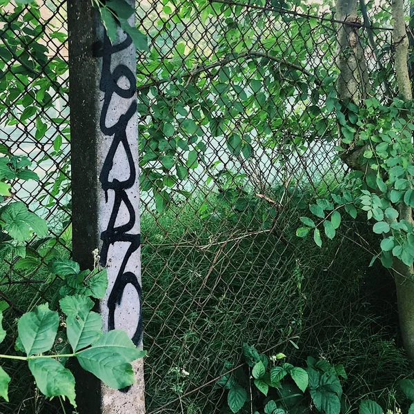 CXT007: Nova x Taiko