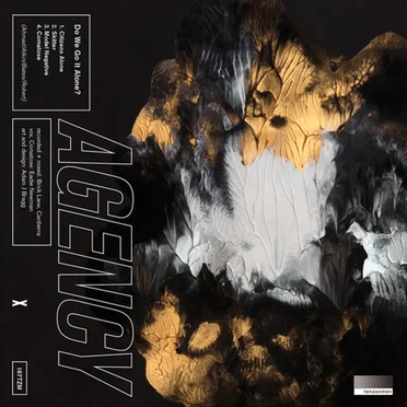 Do We Go It Alone? by Agency - album cover