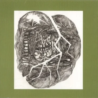 No Answer: Lower Floors