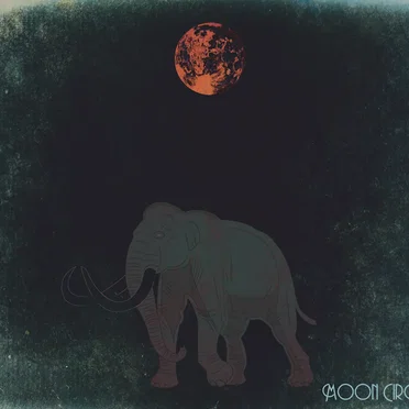 Moon Circle